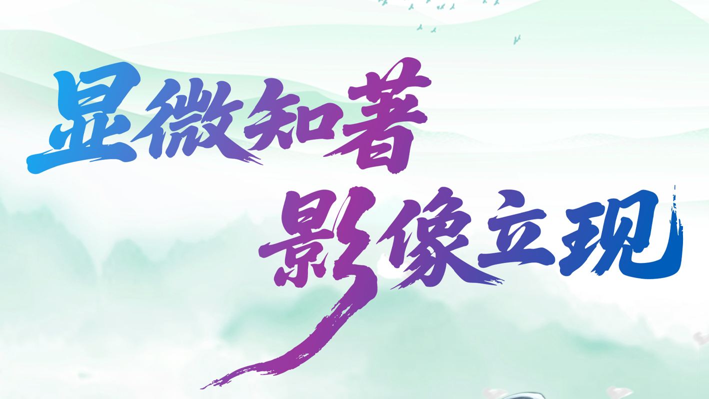 晴立显- Kv